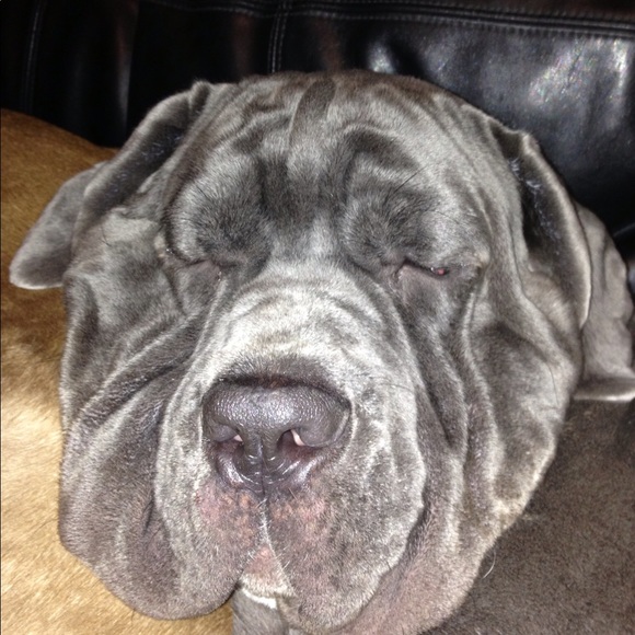 ๐พ๐พ๐พ๐พ๐พ๐พ๐พ๐พ๐พ๐พ๐พ๐พ - Picture 3 of 7